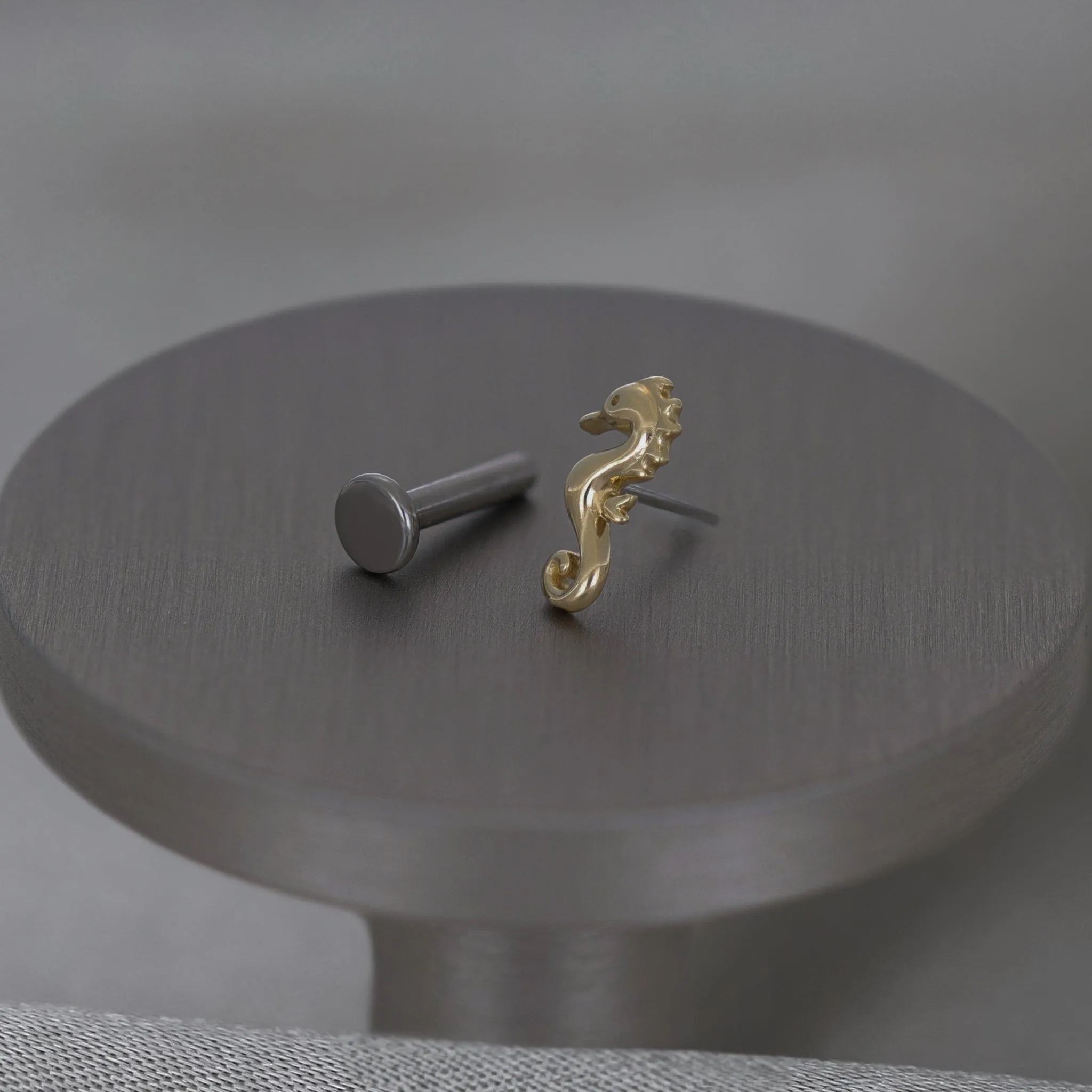 14K Solid Gold Tiny Seahorse Flat Back Earring