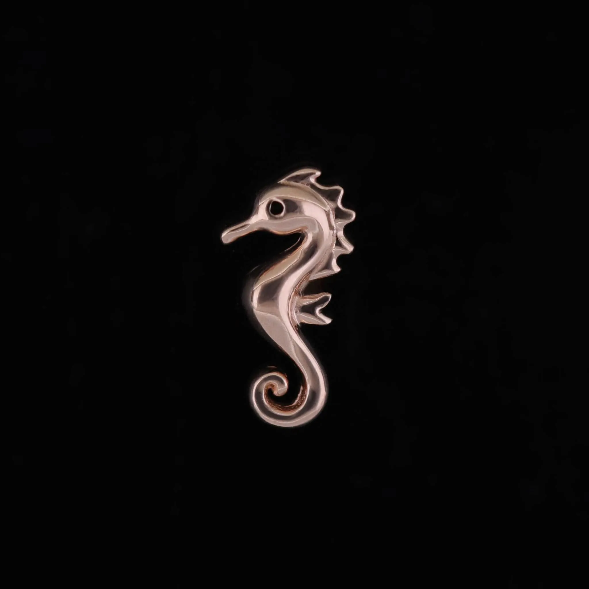 14K Solid Gold Tiny Seahorse Flat Back Earring