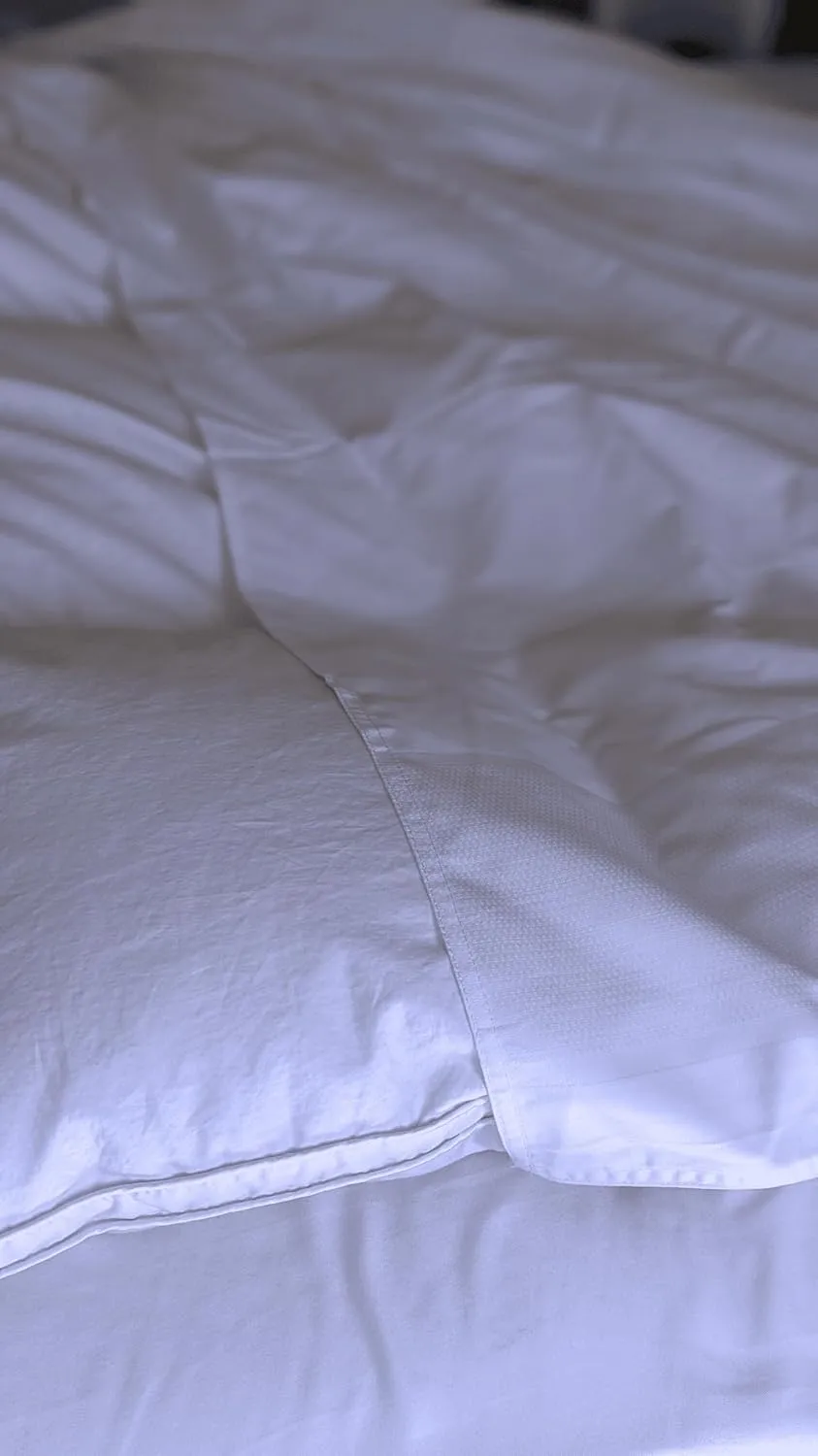 2 Pack Embrace Jacquard Top Sheet White Queen 94 x 92 in - Triple Bed Sheeting - Not A Flat Sheet - Duvet Comforter Protector (2)