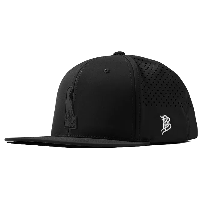 Delaware Stealth Flat Performance