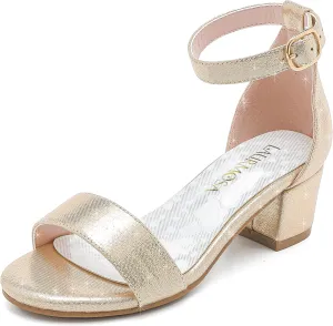 Girls High Heels Sandal for Girls Open Toe Ankle Buckle Strap Dress Shoes for Little Big Kids in Wedding Party Block Chunky Pump Sandals
