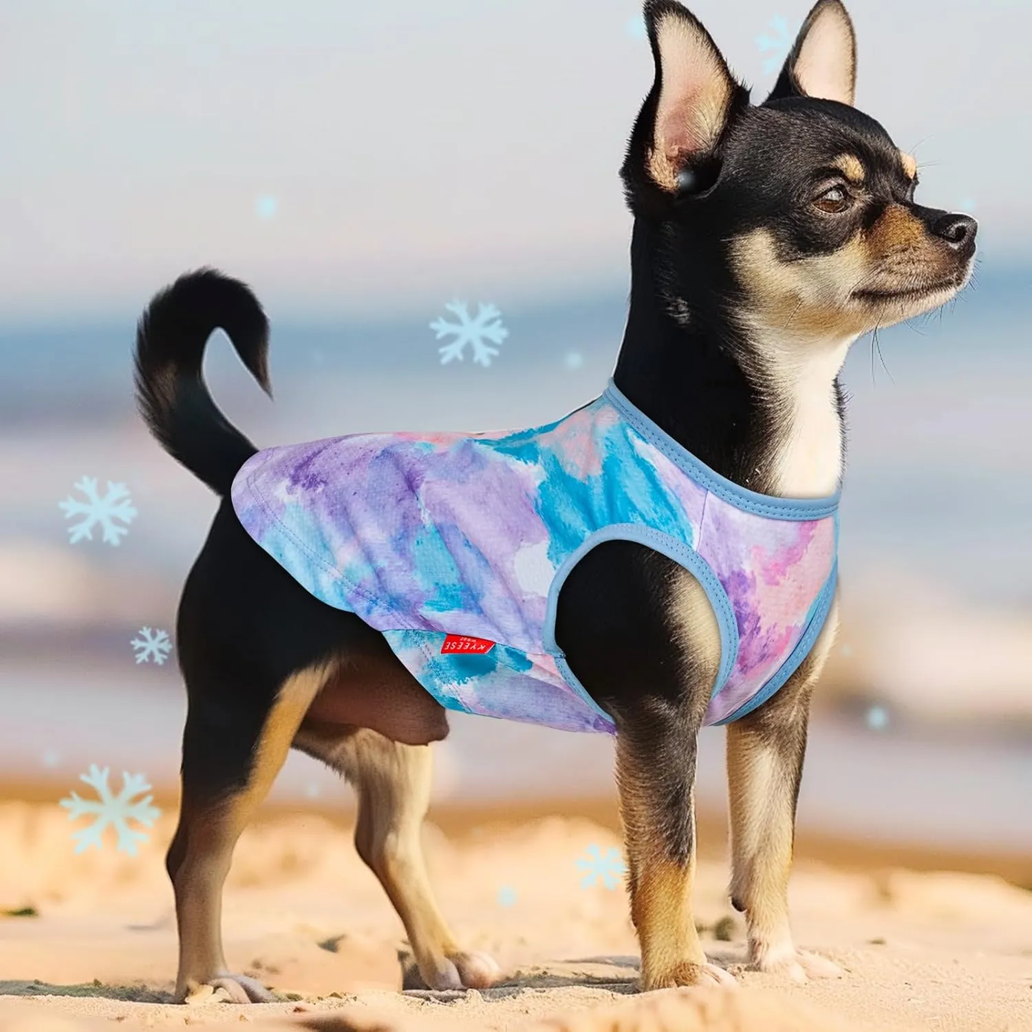 KYEESE 2 Pack Dog Cooling Shirts for Small Medium Dogs Breathable Lightweight Instant Cooling Dog Vest Quick Dry Sleeveless Vest T-Shirts Great for Outdoor Activities on Summer