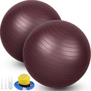 Leyndo 2 Pcs Yoga Ball Exercise Ball Large 26 Inch Exercise Anti Burst Birthing Fitness Ball with Pump, 26 Inches/ 65 cm for Improved Posture, Balance, Yoga, Pilates, Training