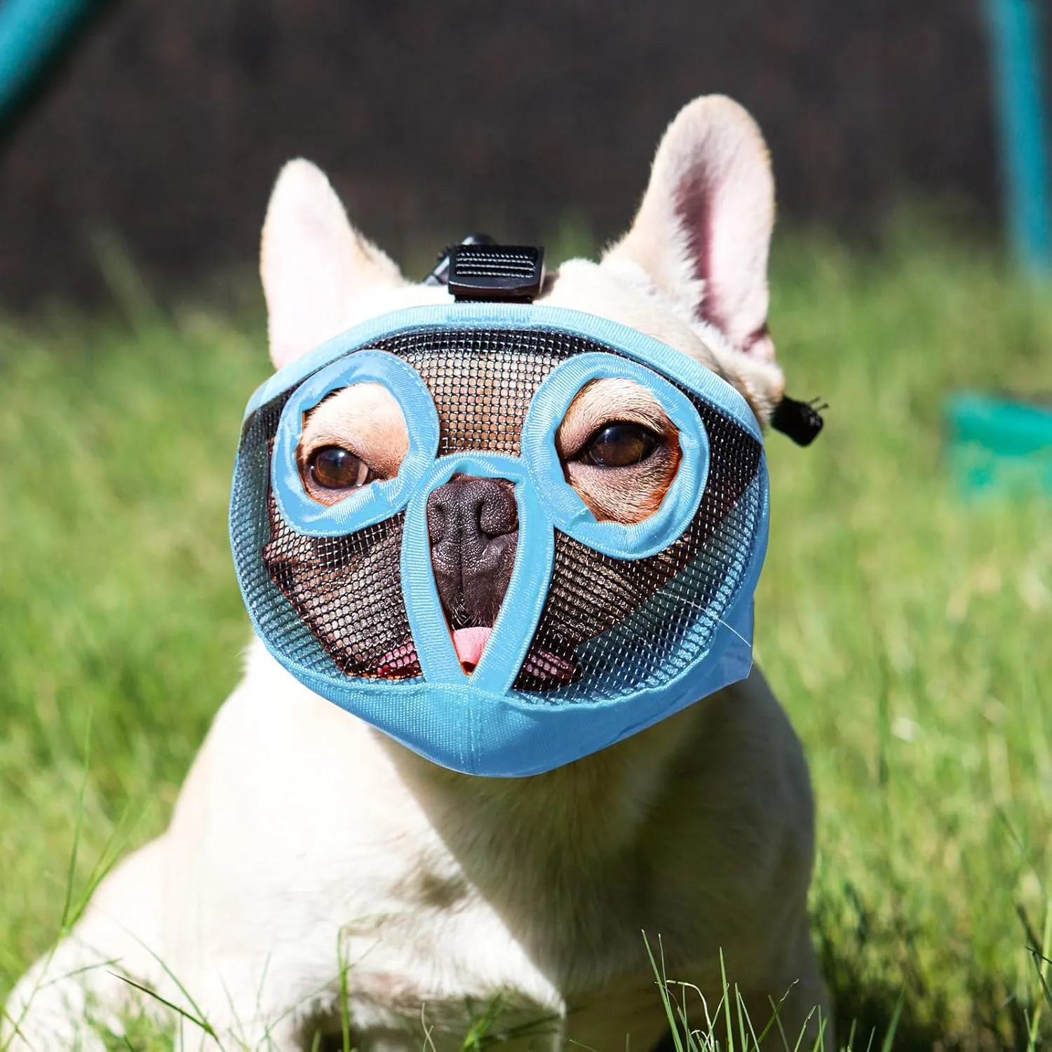 Short Snout Dog Muzzles- Adjustable Breathable Mesh Bulldog Muzzle for Biting Chewing Licking Training Grooming Dog Mask (Blue(Eyehole), Small/9"-12")