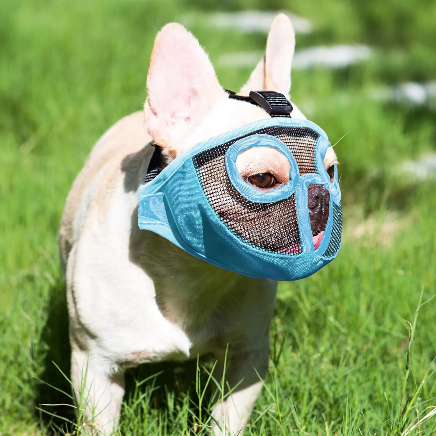 Short Snout Dog Muzzles- Adjustable Breathable Mesh Bulldog Muzzle for Biting Chewing Licking Training Grooming Dog Mask (Blue(Eyehole), Small/9"-12")