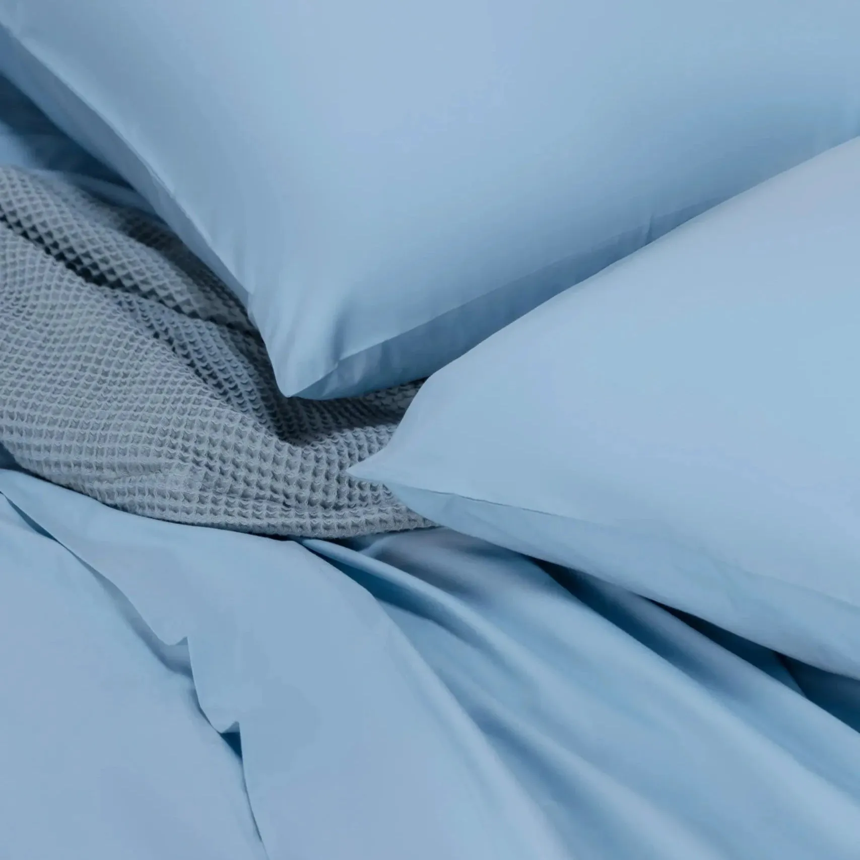 Solid Dyed Flat Sheet