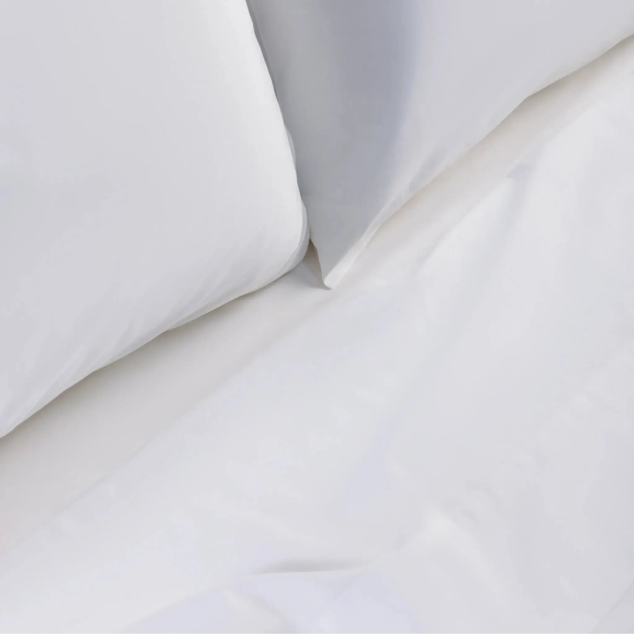 Solid Dyed Flat Sheet